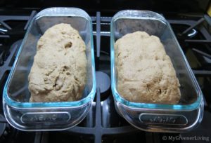 whole wheat bread recipe