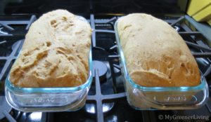 whole wheat bread recipe