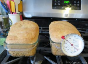 whole wheat bread recipe