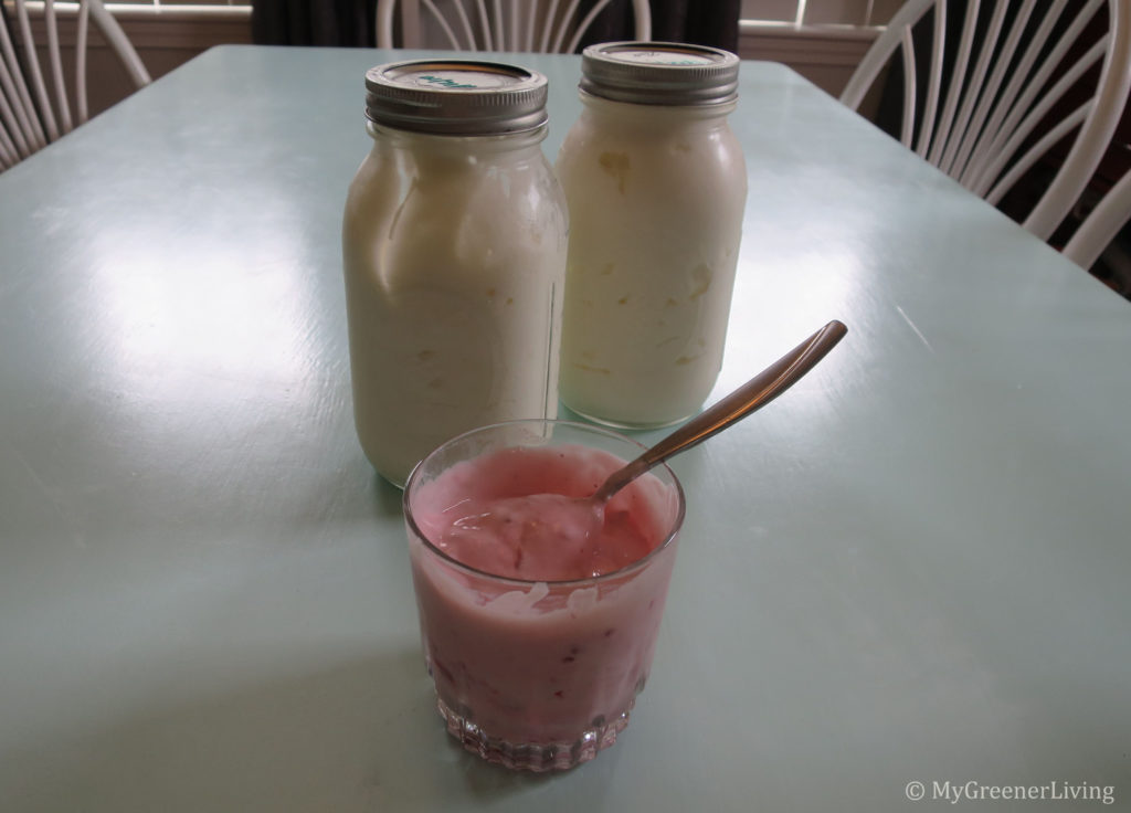 greek yogurt