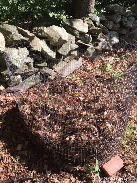 compost pile