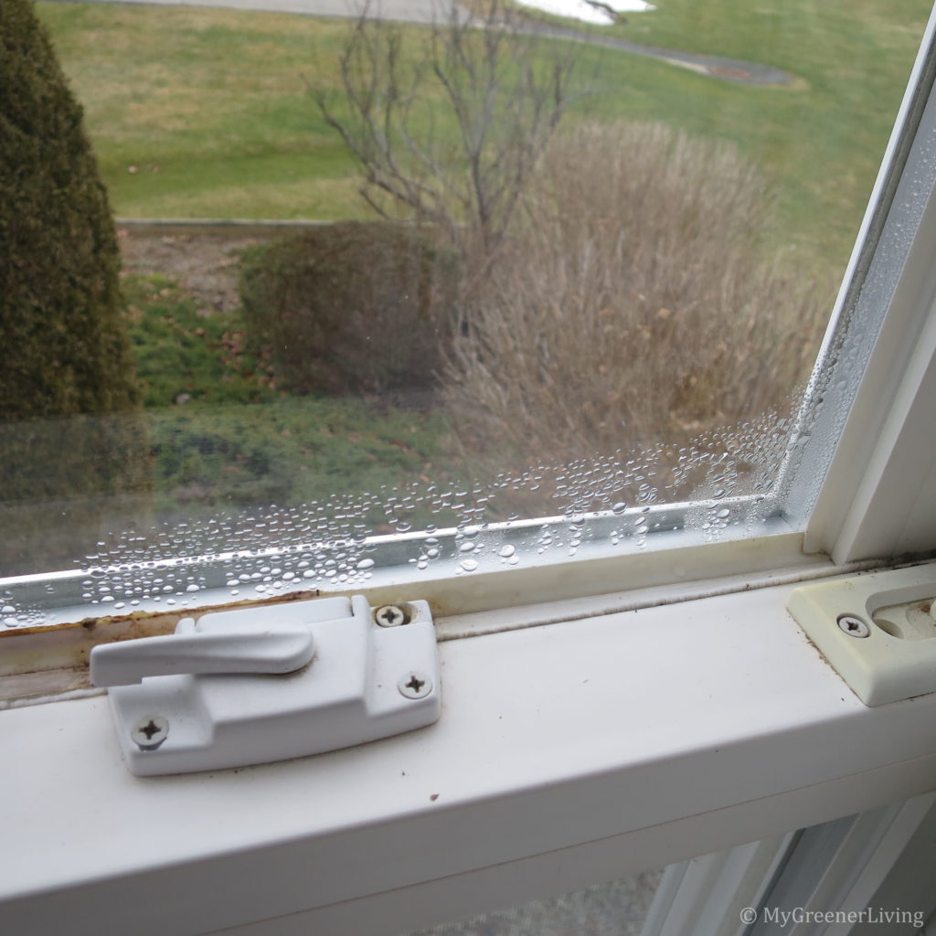 condensation in window