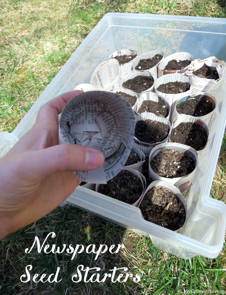 newspaper seed starters, some filled with soil